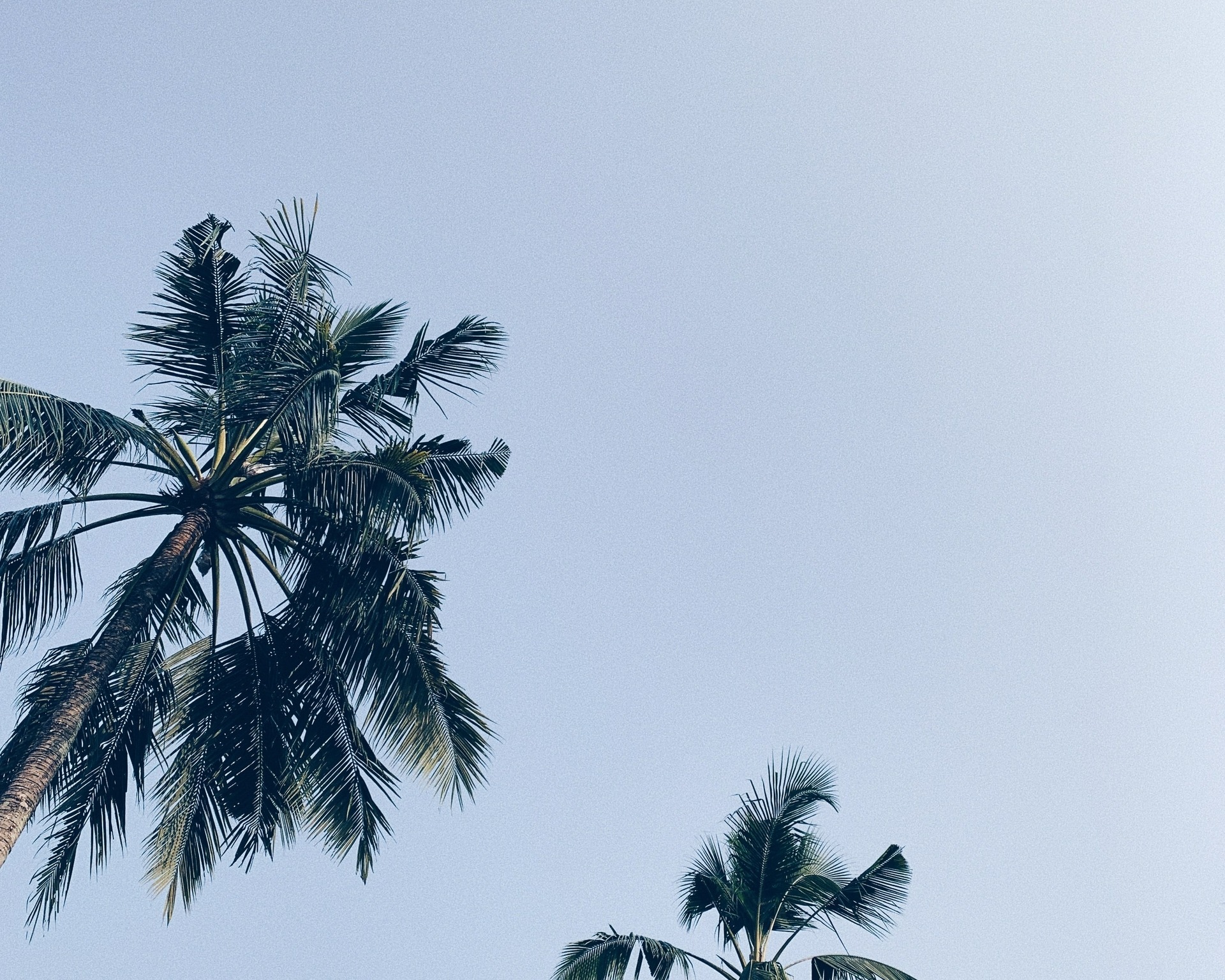 relexa hotel München_Sommer in der Stadt